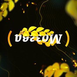 Квиз Мозгва Новички 604